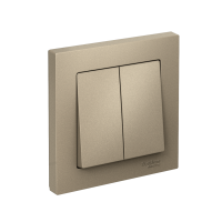 ATLASDESIGN 2-клавишный ВЫКЛЮЧАТЕЛЬ, сх.5, 10АХ, в сборе, быстрозажим. клем., ШАМПАНЬ ATN000552S