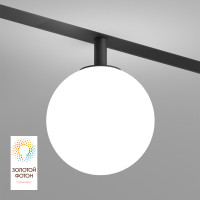 Светильник на шине Denkirs DK8050-BK