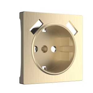 W1179510/ Накладка для розетки USB (шампань рифленый)