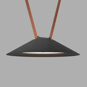 Светильник на шине Denkirs DK5565-BK