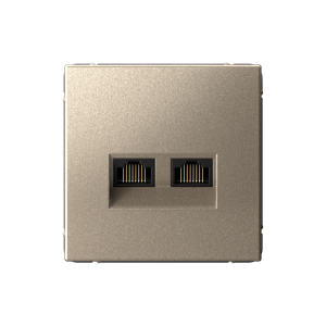 ARTGALLERY РОЗЕТКА двойная компьютерная RJ45+RJ45, кат. 5е, механизм, ШАМПАНЬ GAL000585