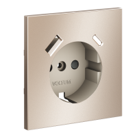 Накладка для розетки с заземлением и защитными шторками, с USB A+C, S70 Metal (платина)