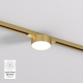 Светильник на шине Denkirs DK5761-SB