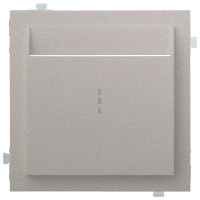 Лицевая панель для карточного выключателя, платина (35731 PL)