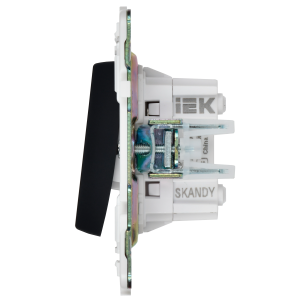 SKANDY Выключатель 2-клавишный перекрестный 10А SK-V06G графит IEK