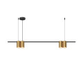 Подвесной светильник Denkirs DK4061-BK+SG