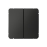 ARTGALLERY 2-клавишный ПЕРЕКЛЮЧАТЕЛЬ, 10АХ, механизм, быстрозажим. клем., БАЗАЛЬТ GAL001465S