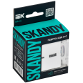 SKANDY Розетка USB A+C 18Вт SK-R13W арктический белый IEK