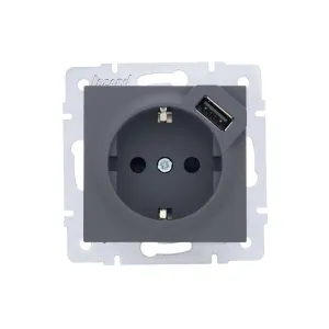 VESNA  Розетка сз  USB разъём графит