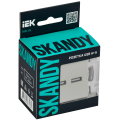 SKANDY Розетка USB A+A 3,1А SK-R15B бежевый IEK
