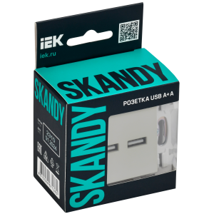SKANDY Розетка USB A+A 3,1А SK-R15B бежевый IEK