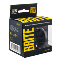 BRITE Розетка 1-местная с заземлением с защитными шторками 16А с USB AA 5В 3,1А РЮш10-2-БрГ графит IEK