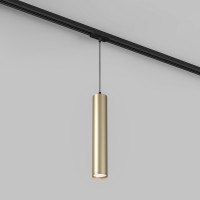 Светильник на шине Denkirs DK6210-BG