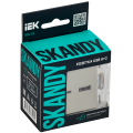 SKANDY Розетка USB A+C 18Вт SK-R13B бежевый IEK