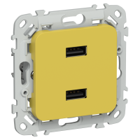 FLITE Розетка USB A+A 3,1А РЮ-2-ФлЖК желтый карри IEK