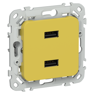 FLITE Розетка USB A+A 3,1А РЮ-2-ФлЖК желтый карри IEK