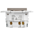 SKANDY Розетка с заземлением с защитными шторками 16А с USB C 18Вт SK-R17Sh шампань IEK