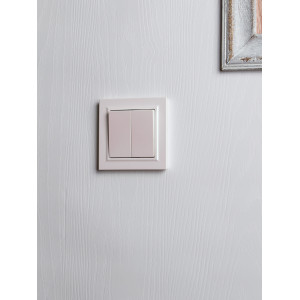 BRITE Выключатель 2-клавишный 10А в сборе ВСР10-2-0-БрЖ жемчуг IEK