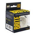 BRITE Розетка 1-местная с заземлением с защитными шторками 16А с USB AA 5В 2,1А РЮш10-1-БрЖ жемчуг IEK