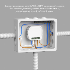Wi-Fi реле Denkirs RL1003-DM/1