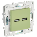 SKANDY Розетка USB A+A 3,1А SK-R15G мятный IEK