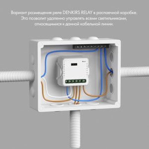 Wi-Fi реле Denkirs RL1003-DM