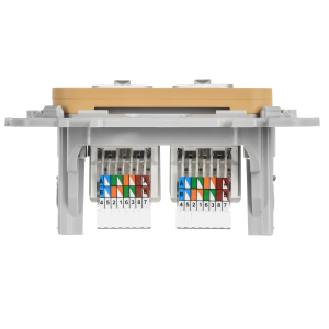 FLITE Розетка 2-местная компьютерная RJ45 категория 5Е UTP РК5е-2-0-ФлШм шамуа IEK