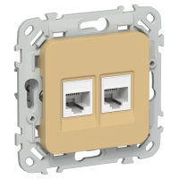 FLITE Розетка 2-местная RJ45/RJ11 категория 5Е/3 UTP РКТ5е/3-2-0-ФлШм шамуа IEK