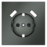 Накладка для розетки с заземлением и защитными шторками, с USB AA, S70 титан