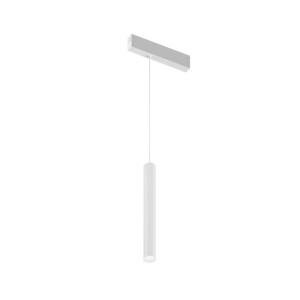 Светильник на шине Denkirs DK8208-WH