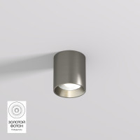 Накладной светильник Denkirs DK2610-DN