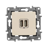 Розетка USB 2-м СП 2мод. Etika 240В5В 2400мА механизм сл. кость Leg 672394