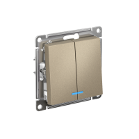 ATLASDESIGN 2-клавишный ВЫКЛЮЧАТЕЛЬ с подсветкой, сх.5а, 10АХ, мех., быстрозажим. клем., ШАМПАНЬ ATN000553S