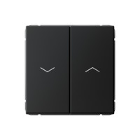 ARTGALLERY 2-клавишный ВЫКЛЮЧАТЕЛЬ ДЛЯ ЖАЛЮЗИ, 2х сх.4, 10А, механизм, быстрозажим. клем., КАРБОН GAL001019S