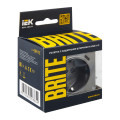 BRITE Розетка 1-местная с заземлением с защитными шторками 16А с USB AC 18Вт РЮш11-1-БрС сталь IEK