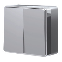 W5020006/ Выключатель двухклавишный Gallant (серебряный)