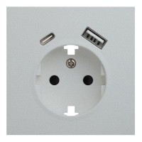 Лицевая панель для розетки 2к+з с USB A+C, серебро (35637 SV)