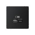 ARTGALLERY USB РОЗЕТКА A + тип-C 45Вт высокоскор.заряд. QC, PD, механизм, КАРБОН GAL001029