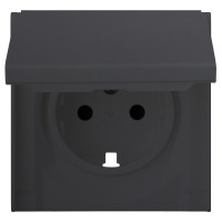 Лицевая панель для розетки 2к+з с крышкой, черный сатин (35634 MB)