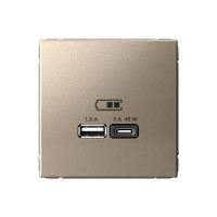 ARTGALLERY USB РОЗЕТКА A + тип-C 45Вт высокоскор.заряд. QC, PD, механизм, ШАМПАНЬ GAL000529