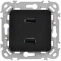 FLITE Розетка USB A+A 3,1А РЮ-2-ФлЧ черный IEK