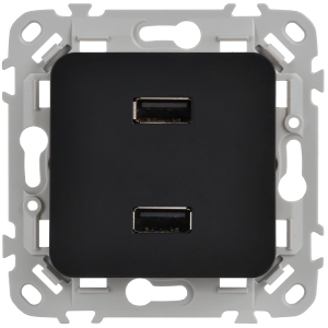 FLITE Розетка USB A+A 3,1А РЮ-2-ФлЧ черный IEK