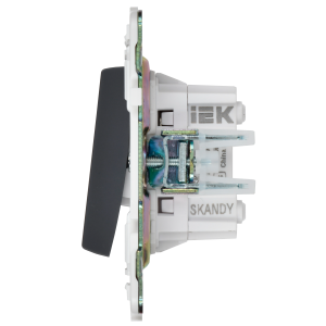 SKANDY Выключатель 2-клавишный перекрестный 10А SK-V06T титан IEK