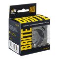 BRITE Розетка 1-местная с заземлением с защитными шторками 16А с USB AA 5В 3,1А РЮш10-2-БрС сталь IEK