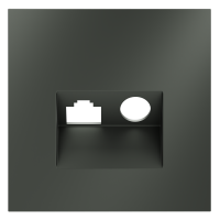 Накладка для розетки TV+RJ45 кат. 6, S70 (титан)