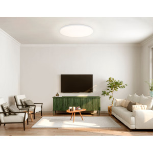 Умный светодиодный светильник с пультом 3000K-6500K+RGB 30Вт IP54 (Tuya,Smart Home,Яндекс Алиса)