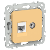 FLITE Розетка 2-местная RJ45/TV категория 5Е UTP РКТВ5е-2-0-ФлЗ золотарник IEK