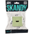 SKANDY Розетка HDMI SK-H01G мятный IEK