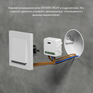 Wi-Fi реле Denkirs RL1002-SM