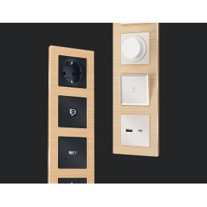 AF550303 Рамка ALFA Platos Шампань Металл шлифованный 3-ая AMBRELLA VOLT